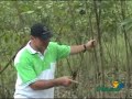 Caucho en Nariño