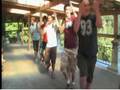 Thriller!