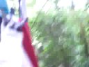 Zip Line in St. Lucia