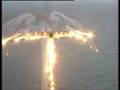 angel wings