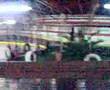 Bettarini sul Go-kart!!!!