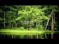 http://www.youtube.com/watch?v=b2njHW9ydWs&feature=related