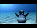 Schwimmen mit Pinguinen im Spreewelten Sauna- und Badeparadies Lübbenau Schwimmen mit Pinguinen im Spreewelten Sauna- und Badeparadies Lübbenau