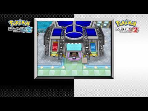 Immagine anteprima YouTube