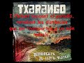 QUAN TOT S'ENLAIRA - Txarango (lletra)