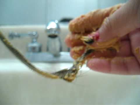 how to dissolve gum from hair