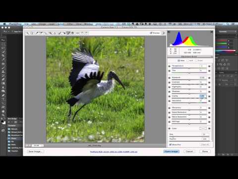 Photoshop CS6 Adjustment Brush Tricks