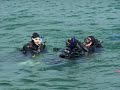 Third Dive!