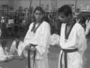 Miiz Amiigoz De Taekwondo Miiz Amiigoz De Taekwondo