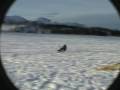 Vid�o Handikite Version Snowkite Free Ride, Janv 2008, Christophe Martin \"Handikite.fr\"