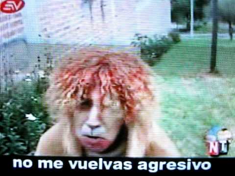 Oruga Trotamundos mira el video - MioPlanet.org