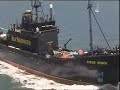 Whaling War! Sea Shepherd Captain Shot by Japanese? Whaling War! Sea Shepherd Captain Shot by Japanese?