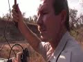 Shiloweni - no ordinary leopard