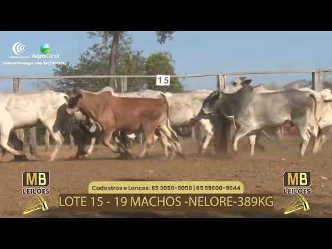 508� LEIL�O VIRTUAL MB LEIL�ES