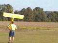 Piper Cub Hovering