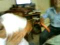 videos de tokes pal yago