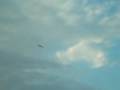 RC Funtana X Planes Flying at Fairlands