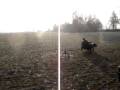 videos de Rodeobrommer 2
