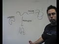 What are Chaperones and How do They Work? Pande Group