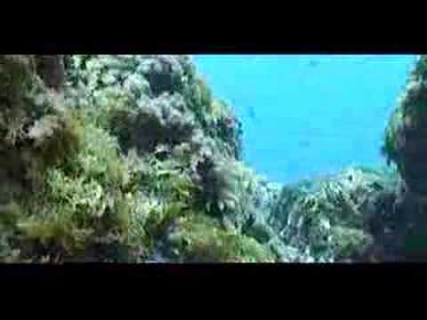 Mar de Albor�n