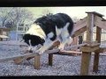 Unbelievable Swee Pea part3