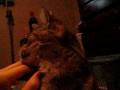 videos de MVI_0994.AVI