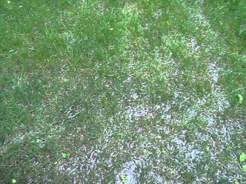 how to drain low spot in yard