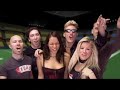 TOY BOX HEROES - WE THE DOGZ