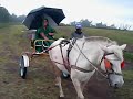 Horse Riding in Tagaytay Luzon Phillipines