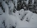 Powder Heaven - Blackcomb Mountain