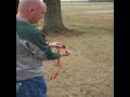 Shock Collar