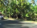 palei vandenyna.wmv