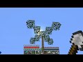 Minecraft Box - Sunb