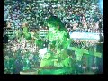 boibumb-caprichoso-3-noite-continuao-.html