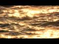 Rod Carrillo & Ronnie Sumrall MOONSHINE RISING