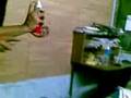 big time B.C. in Hostel
