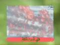 قلبي لمن اختار - علي هلال - Qalbi Lamman Ikhtar - Ali Hilal