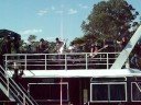 attaque 77 en tigre antihumano