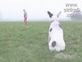 jackass trop marrant lol
