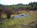 videos de MtRogersEpic11.08 day1 vid4 crest pano.mov