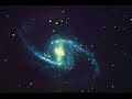 La stella-Patrick Edera