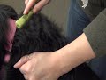 Safari&reg; Mat Remover