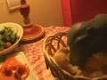 RABID ANIMAL DEVOURS HOTEL FOOD LIKE MANIAC! HUNGRY SEAL
