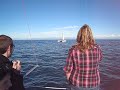 Dolphins at Abel Tasman