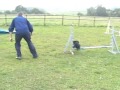 Bex agility at 13 months old