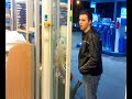 daco die robbe 2