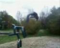 test geval ding