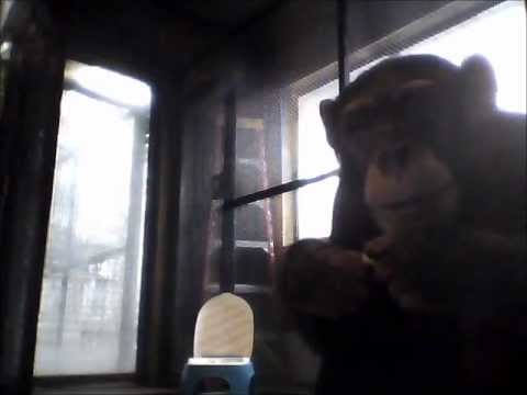 YouTube Preview Image