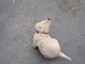 Molly