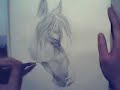 Horse a la Mirre